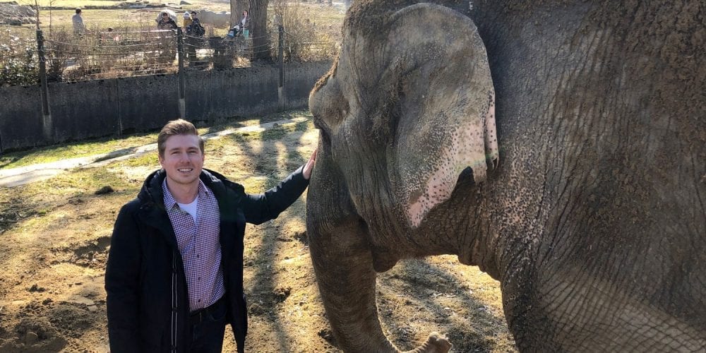 glas seele sposert das neue Elefantenhaus und Panzerverglasung im Löwen- und Leoparden-Areal
